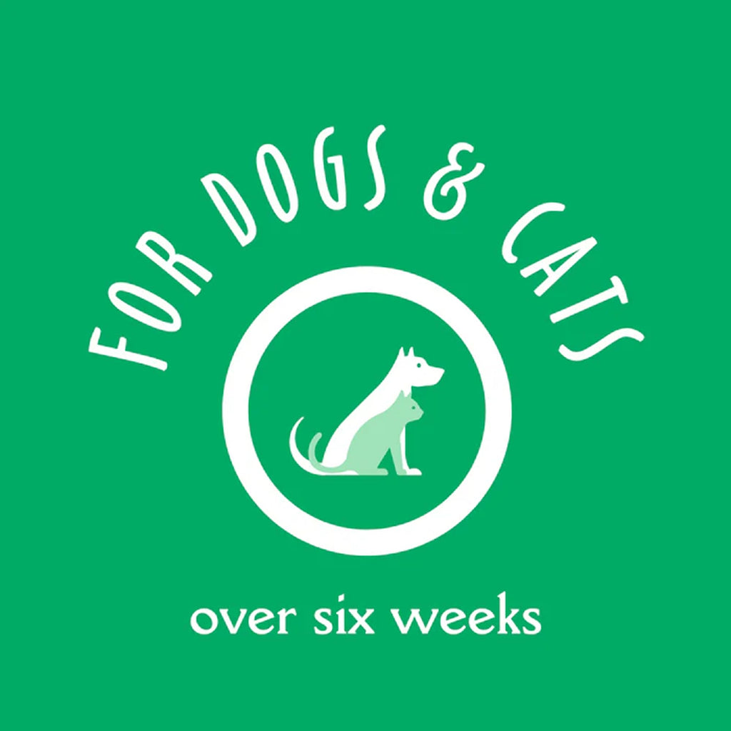 Oatmeal & Aloe Dog Shampoo, 16 fl oz V59987