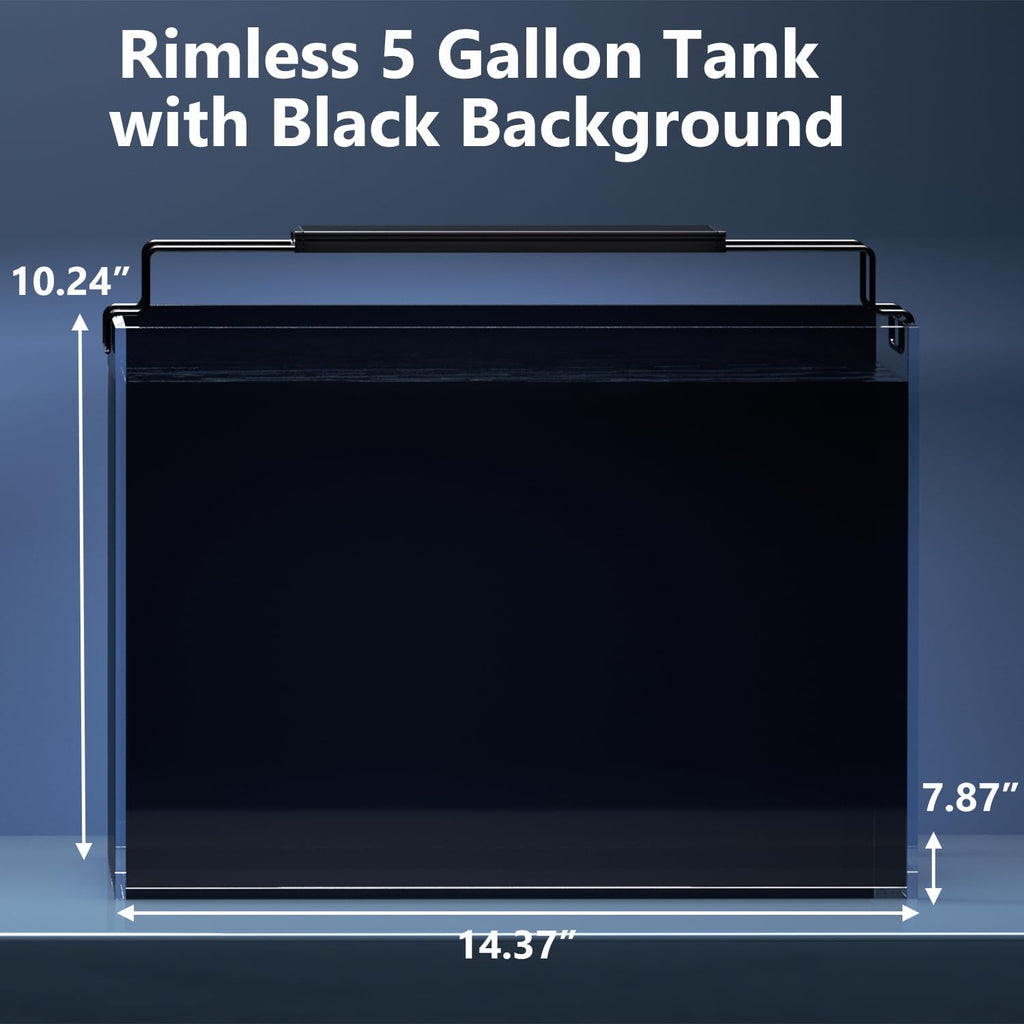 5 Gallon Glass Fish Tank Kit with Filter Light S357979