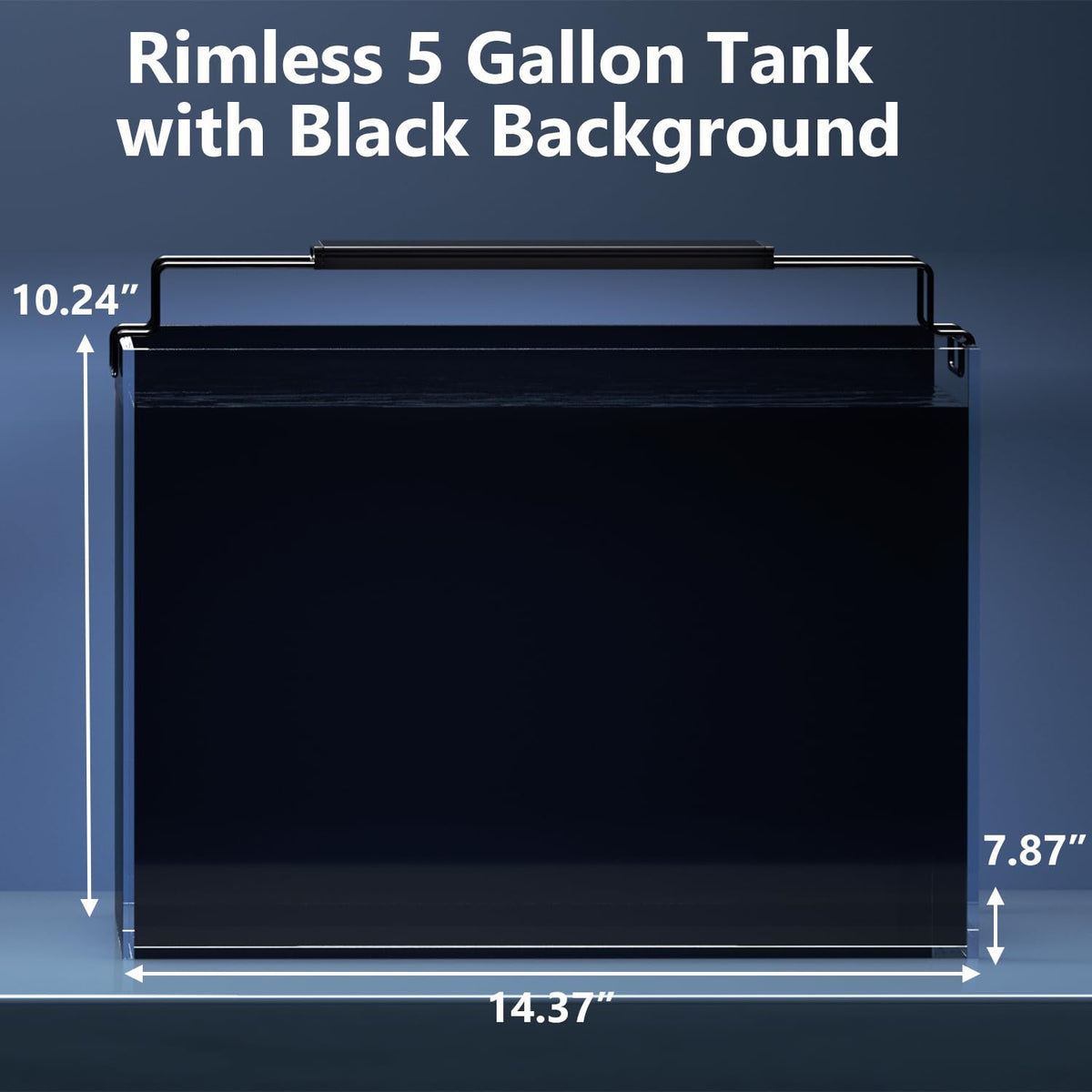 5 Gallon Glass Fish Tank Kit with Filter Light S357979