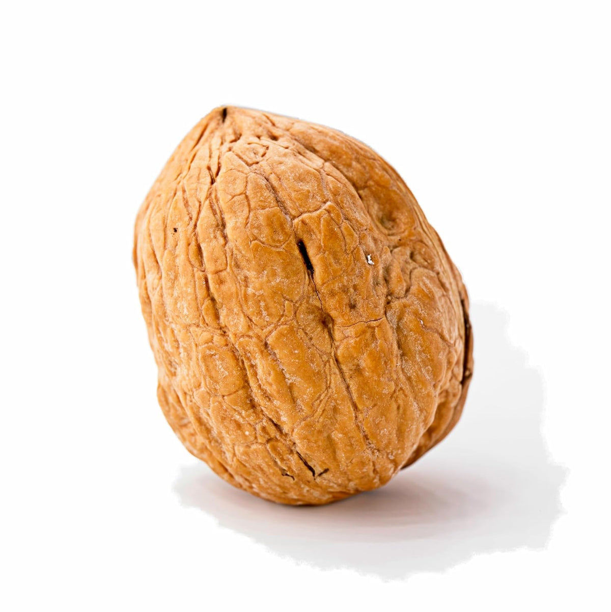 California Grown Whole Walnuts In Shell, 25lb R283183