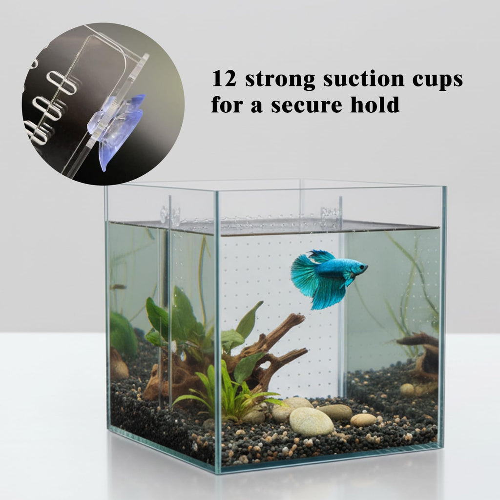 Acrylic Aquarium Divider with Suction Cups Q21783