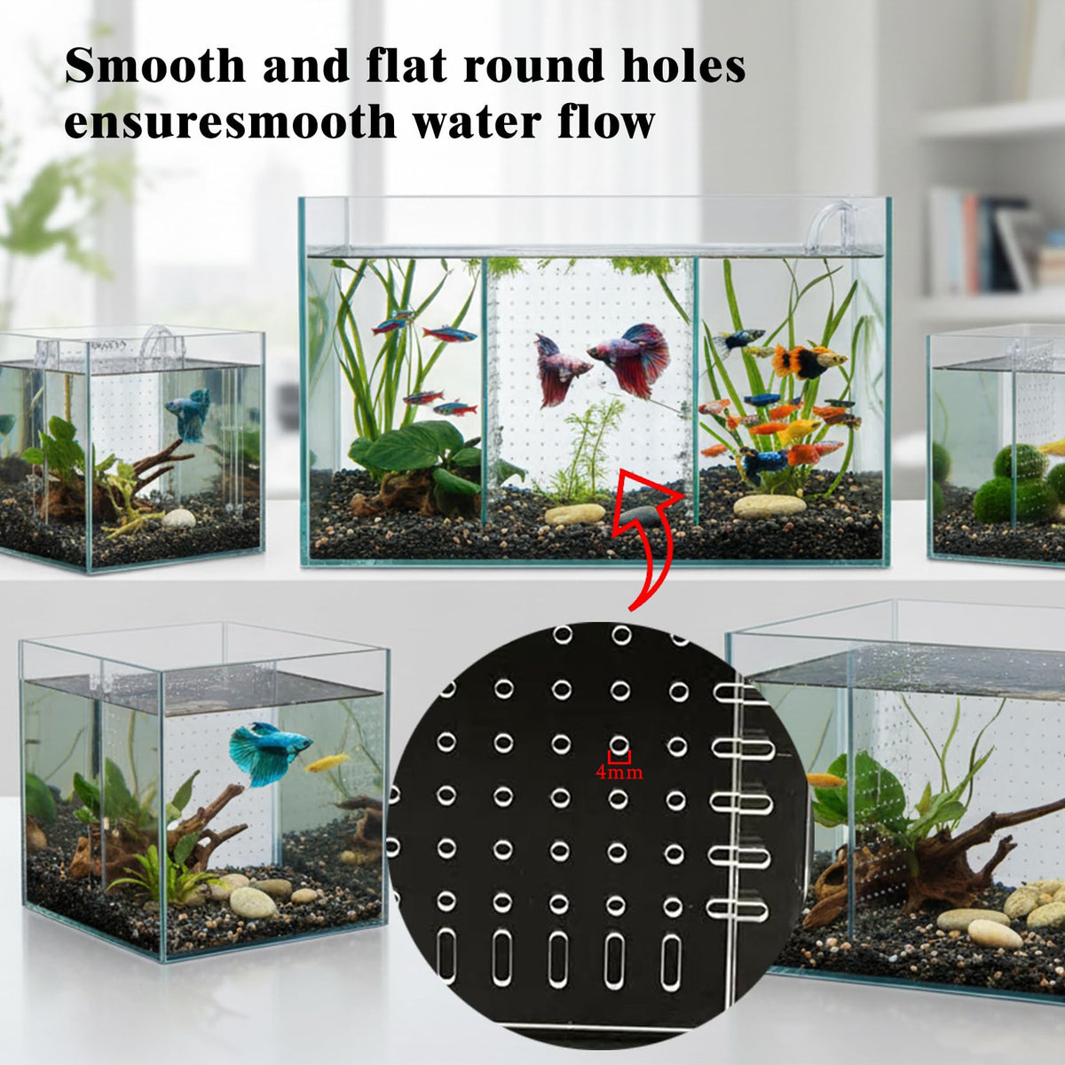 Acrylic Aquarium Divider with Suction Cups Q21783
