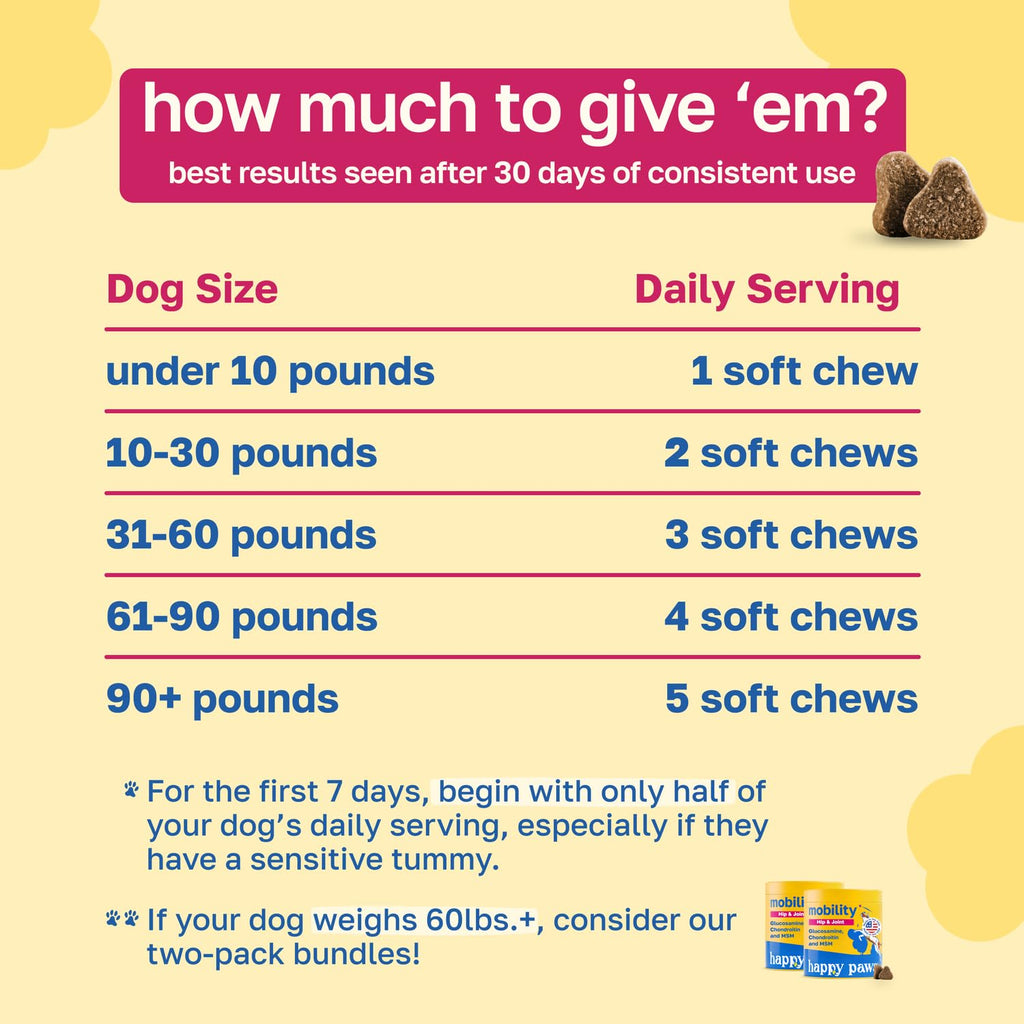 Hip and Joint Supplement for Dogs, 200 Soft Chews V5233