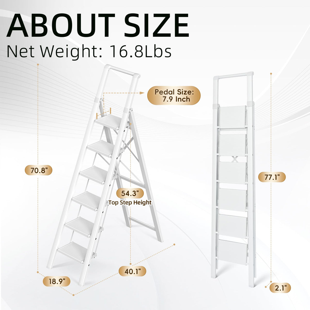 6 Step Ladder V8288