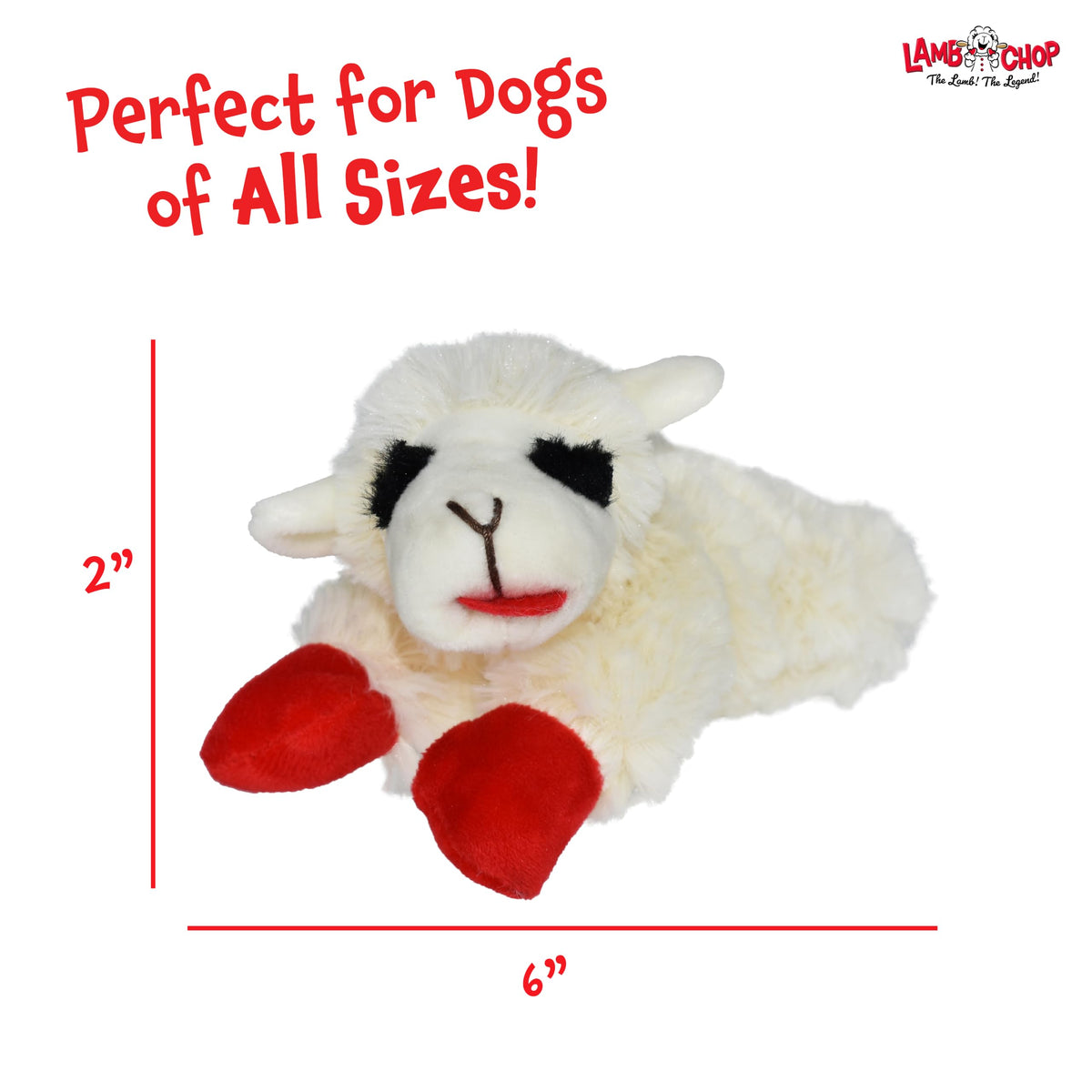Dog Plush Squeaky Toy Y849348
