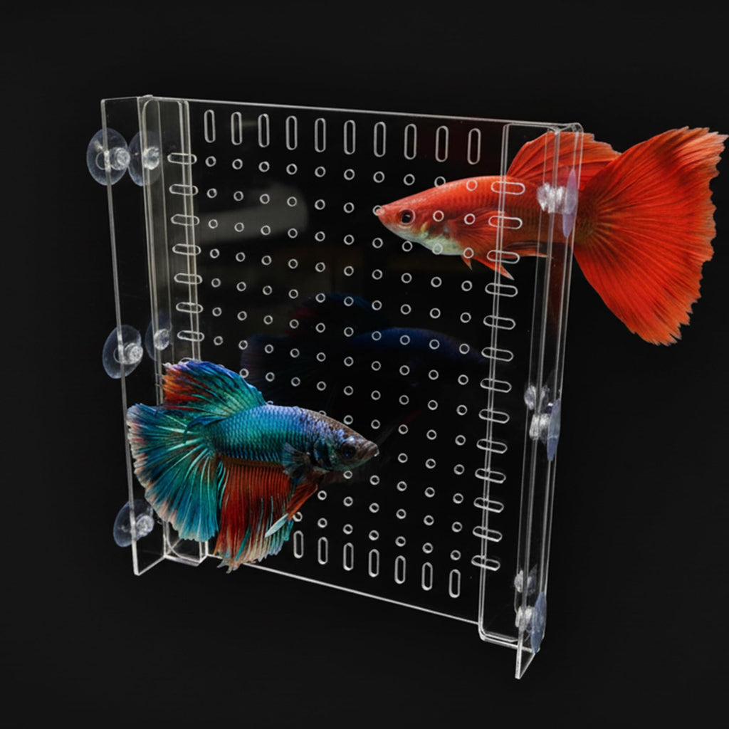 Acrylic Aquarium Divider with Suction Cups Q21783