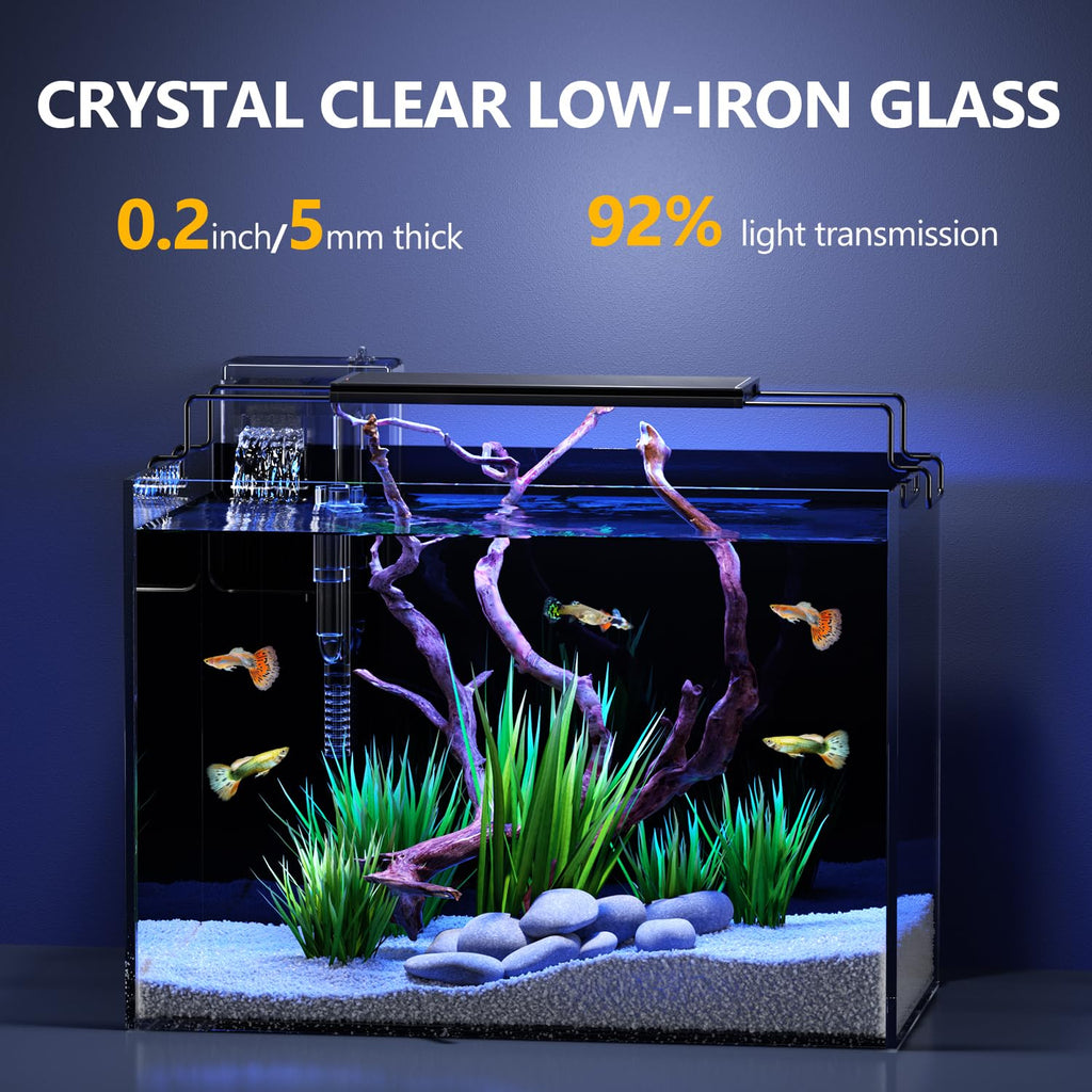 5 Gallon Glass Fish Tank Kit with Filter Light S357979