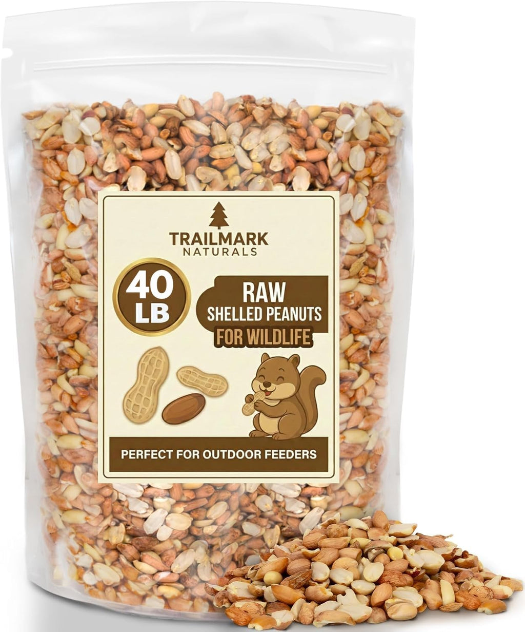 Raw Shelled Peanuts Y286231