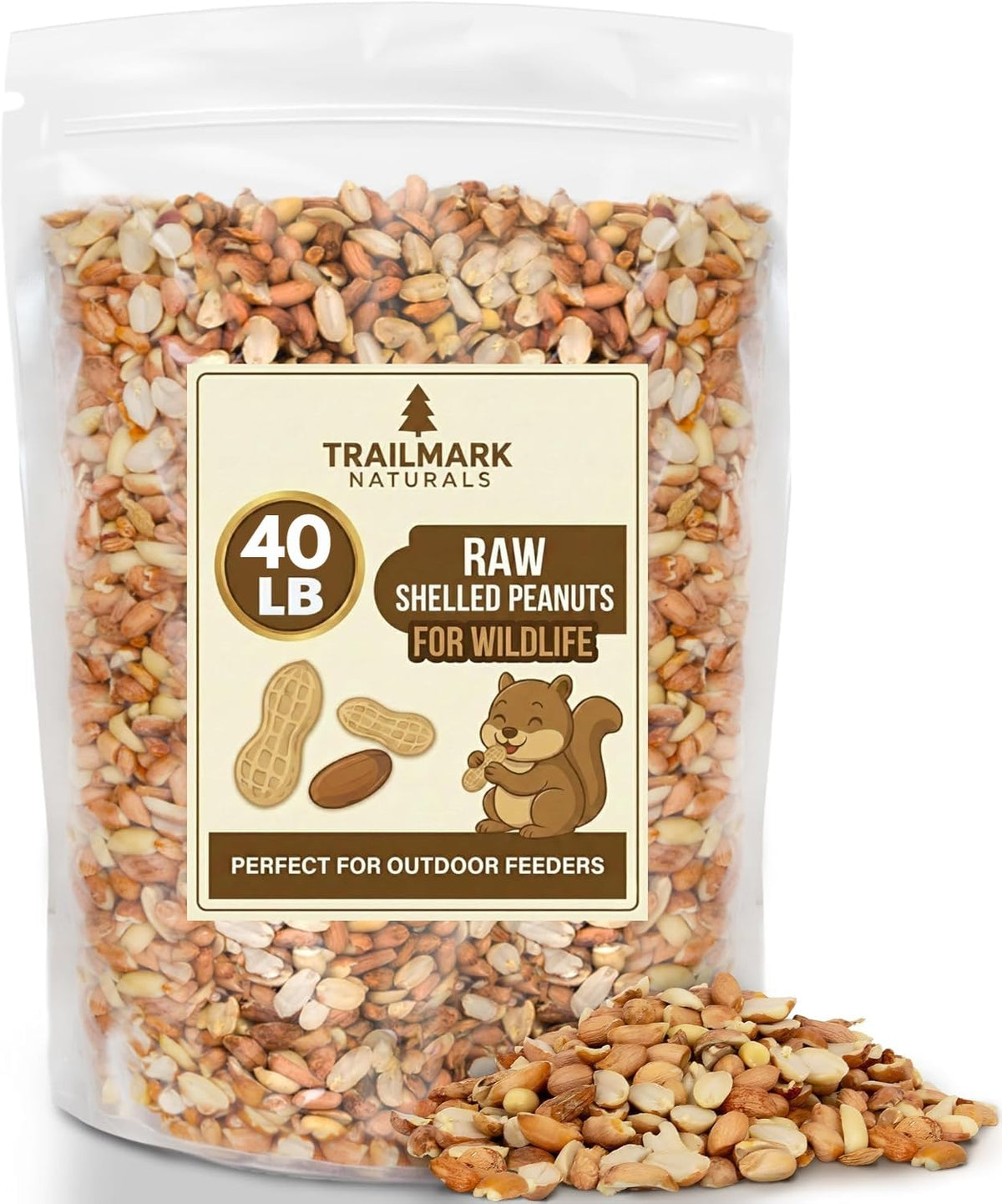 Raw Shelled Peanuts Y286231