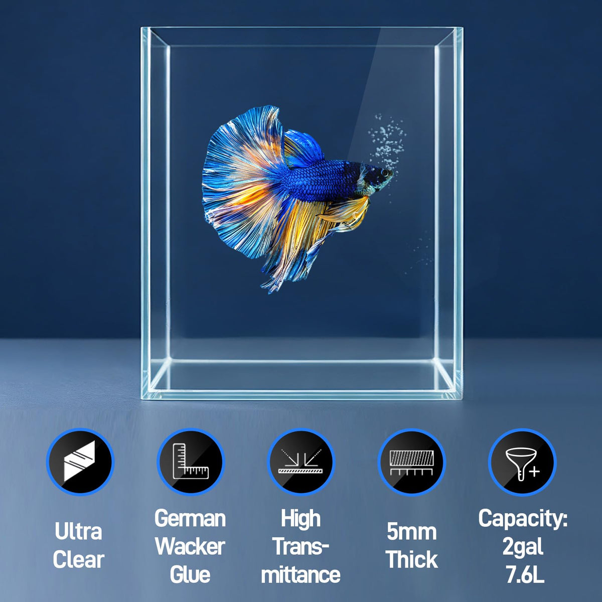 2 Gallon Glass Fish Tank Starter Kit with Fish Net T15393