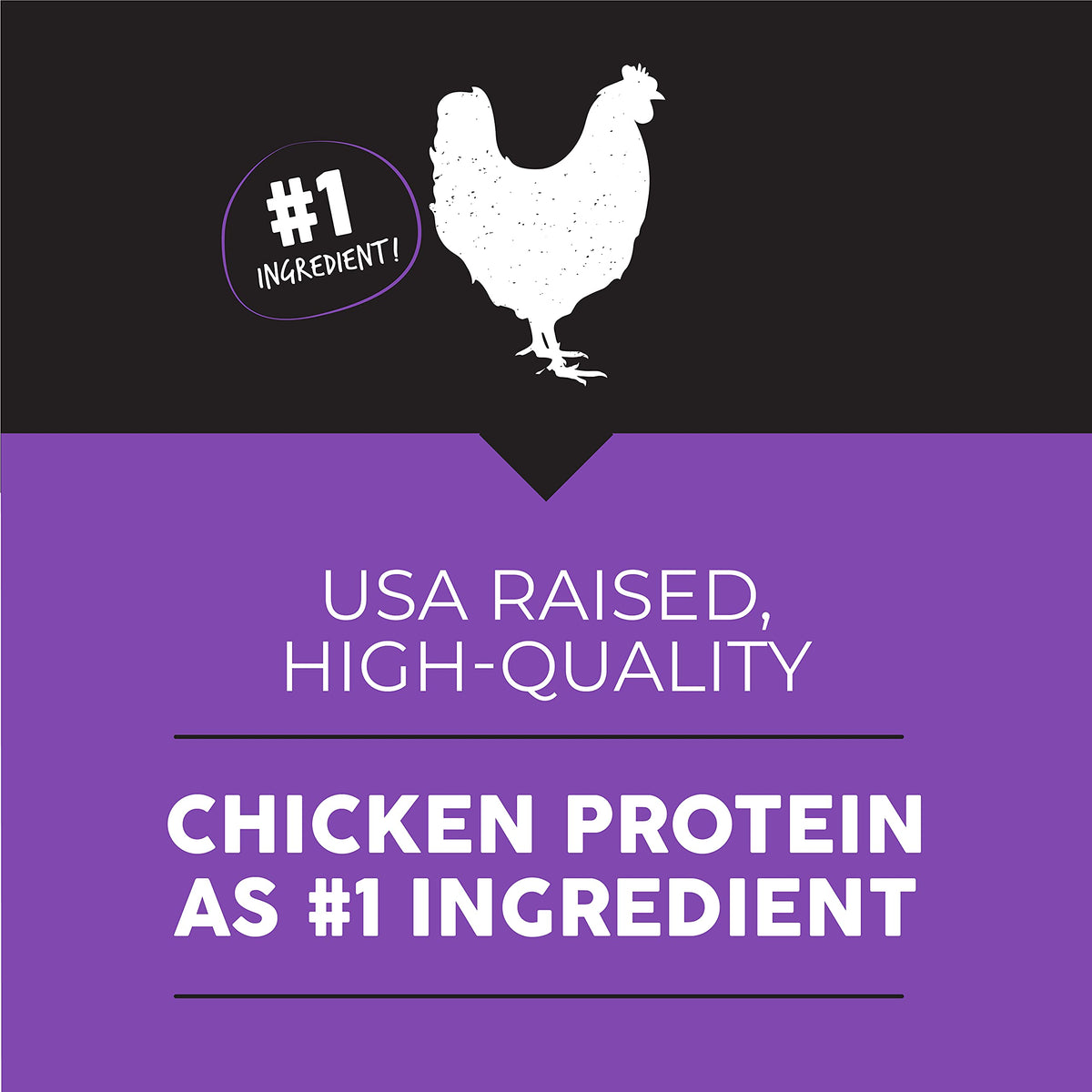Chicken Meal & Rice Dry Dog Food, 28 lb T7587