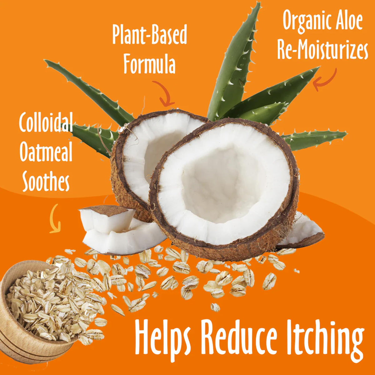 Oatmeal & Aloe Dog Shampoo, 16 fl oz V59987