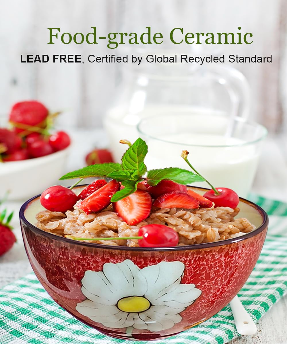 Ceramic Cereal Bowl Set of 4, 28oz Floral Pattern, Microwave Safe Q903