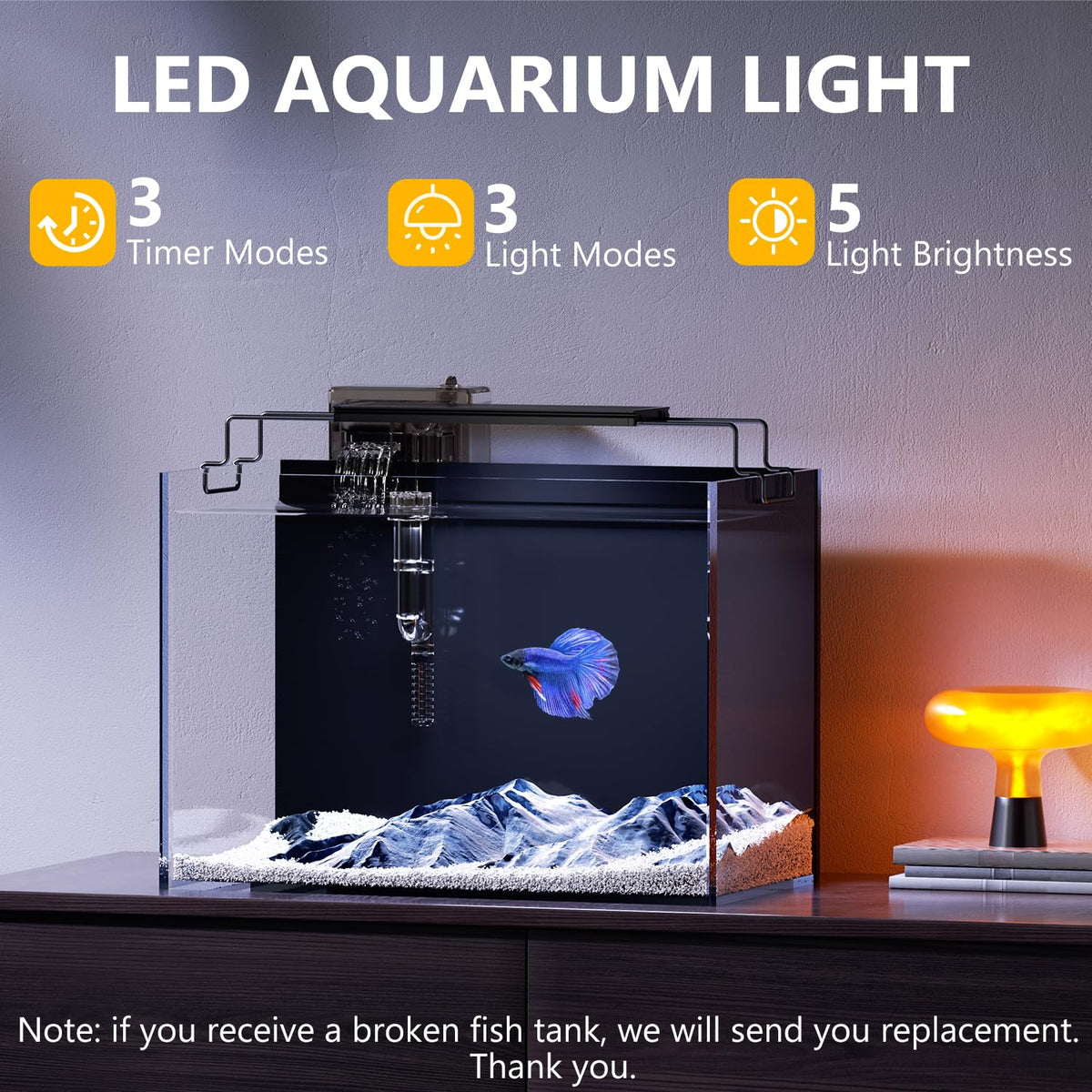 5 Gallon Glass Fish Tank Kit with Filter Light S357979