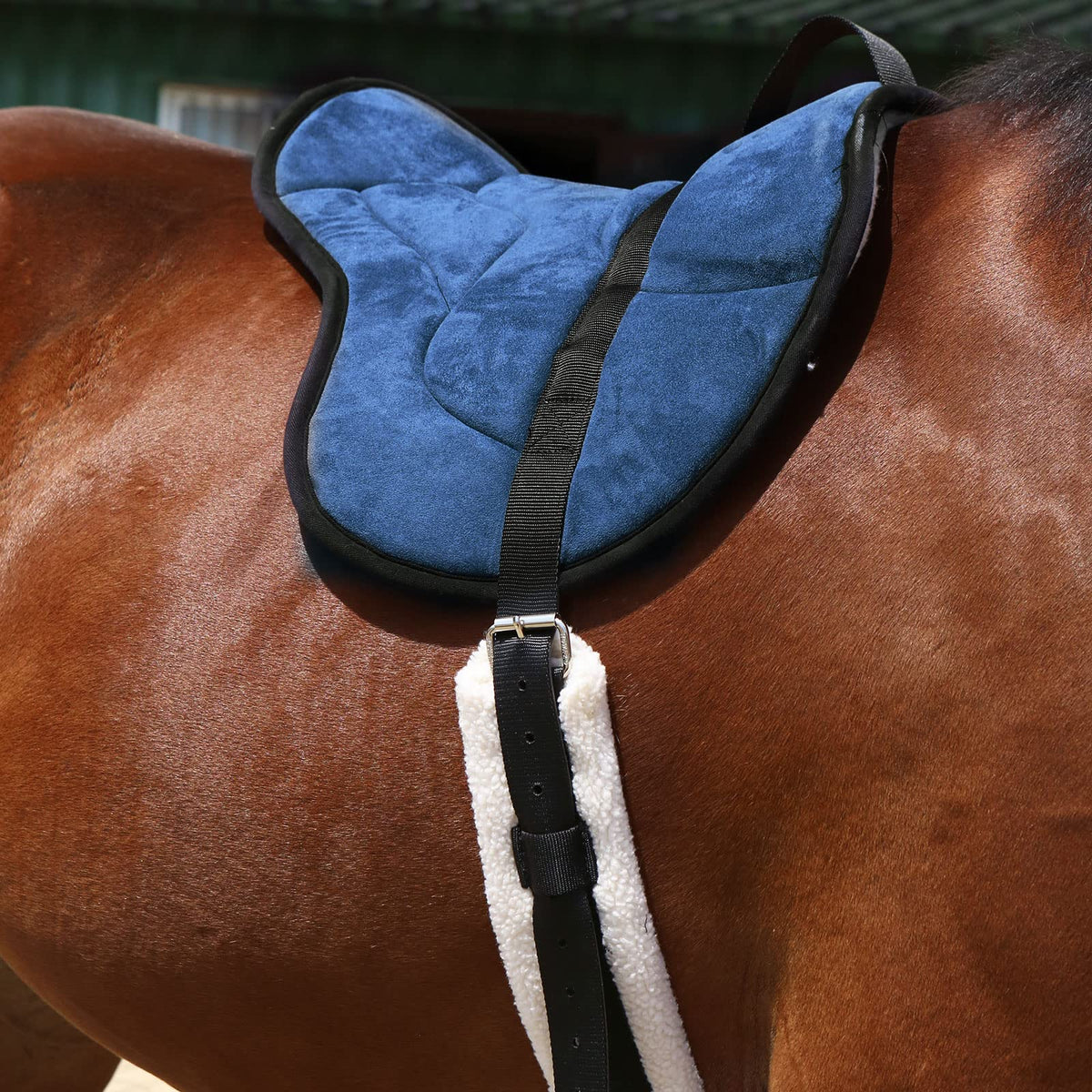 Horse Riding Pad with Matching Girth N7146