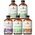 Rosemary Tea Tree Lavender Peppermint Cinnamon Essential Oil 4 FL Oz S33442