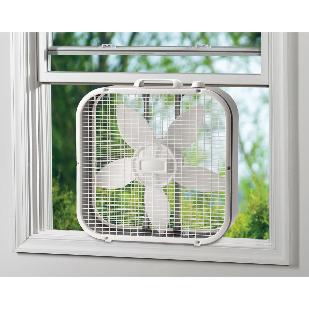 20-inch 5-Blade Box Fan V469