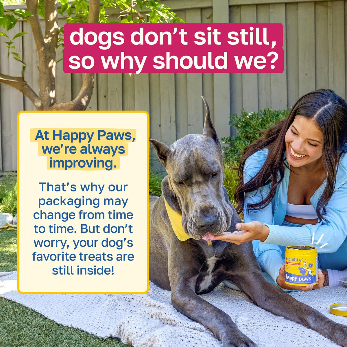 Hip and Joint Supplement for Dogs, 200 Soft Chews V5233
