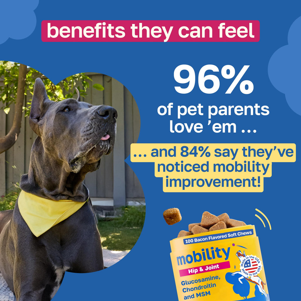 Hip and Joint Supplement for Dogs, 200 Soft Chews V5233