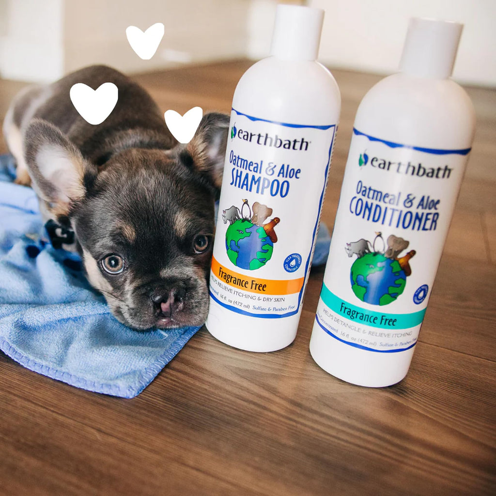 Oatmeal & Aloe Dog Shampoo, 16 fl oz V59987