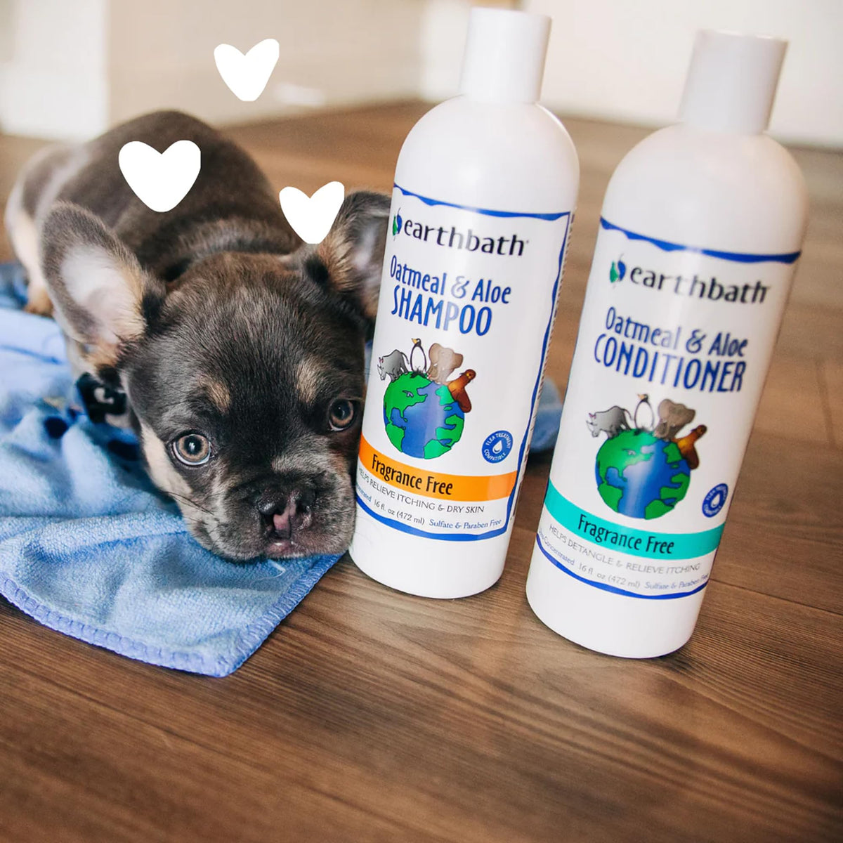 Oatmeal & Aloe Dog Shampoo, 16 fl oz V59987