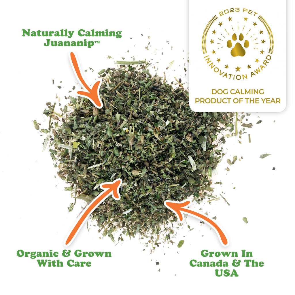 Naturally Calming Catnip Refill Bottle for Dogs J92801