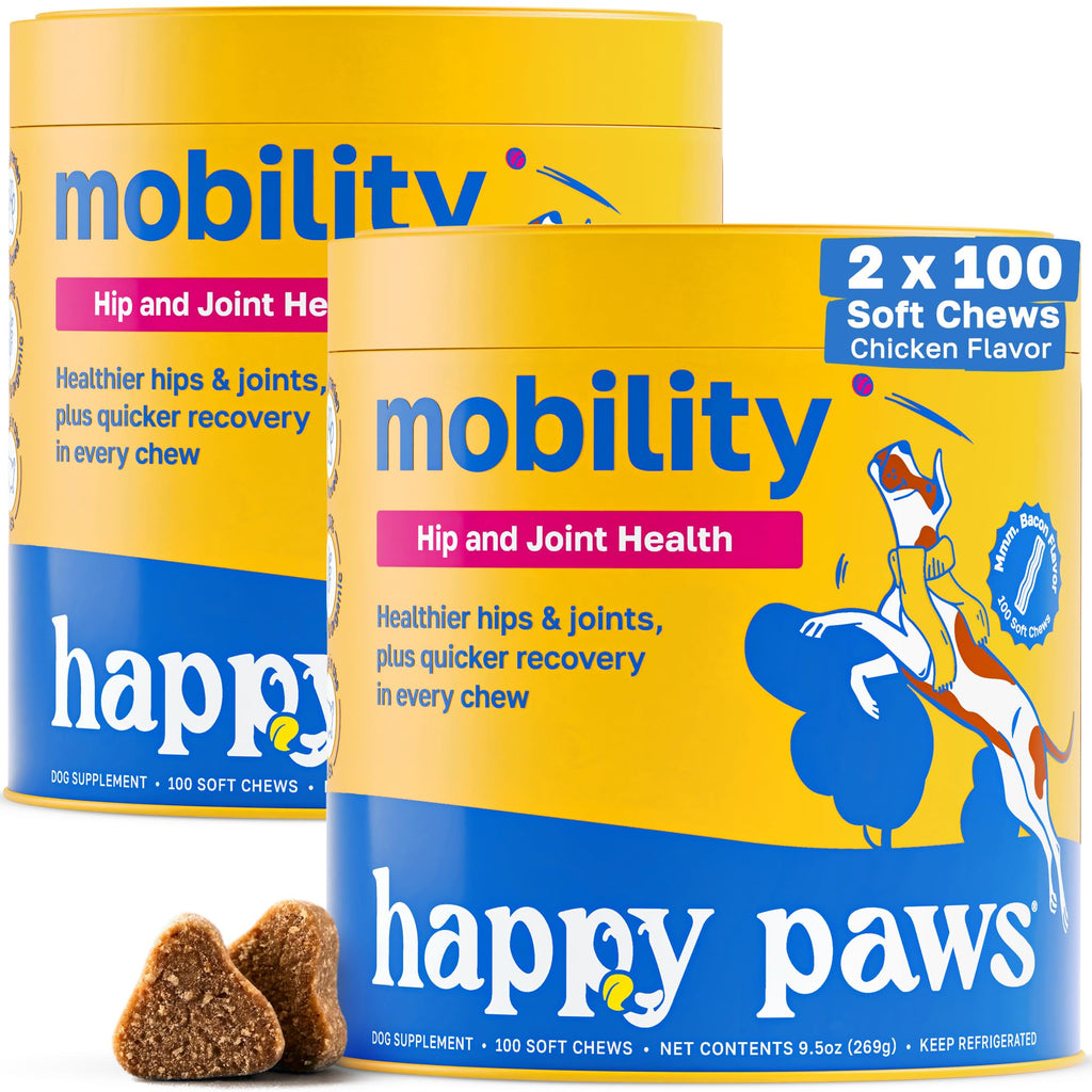 Hip and Joint Supplement for Dogs, 200 Soft Chews V5233