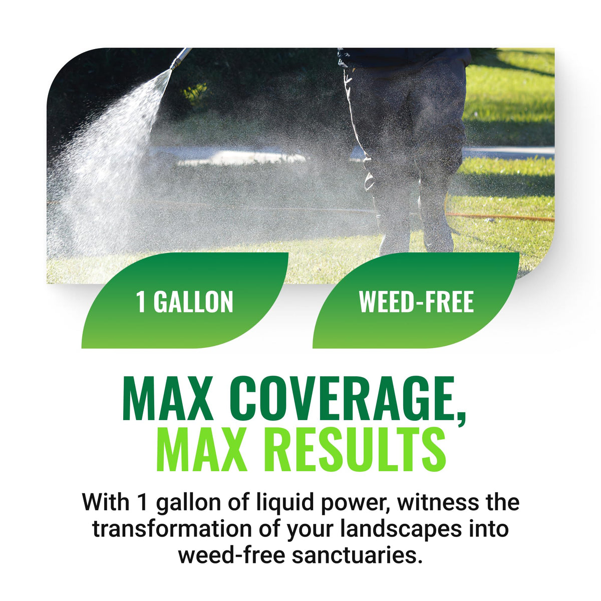 Weed Killer 1 Gallon P3702