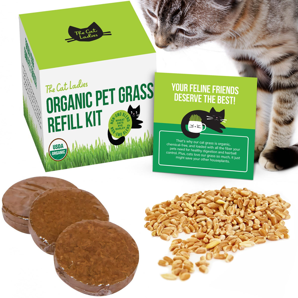 Organic Cat Grass Seed and Coco Coir Soil Disks 3 Pack A771542
