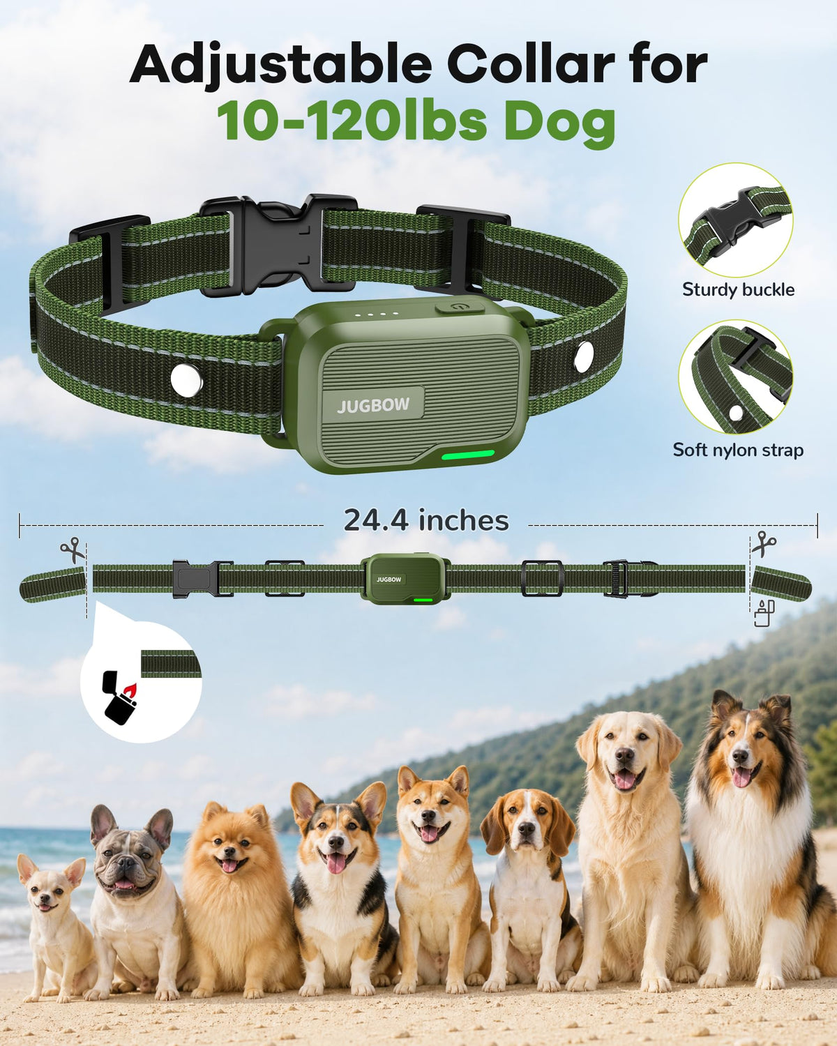 Dog Training Collar 3 Pack Z52697