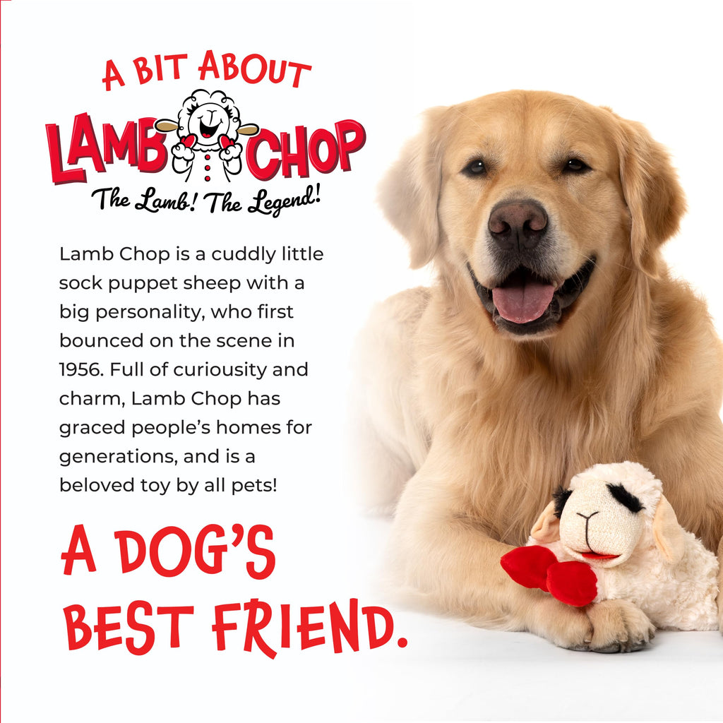 Dog Plush Squeaky Toy Y849348