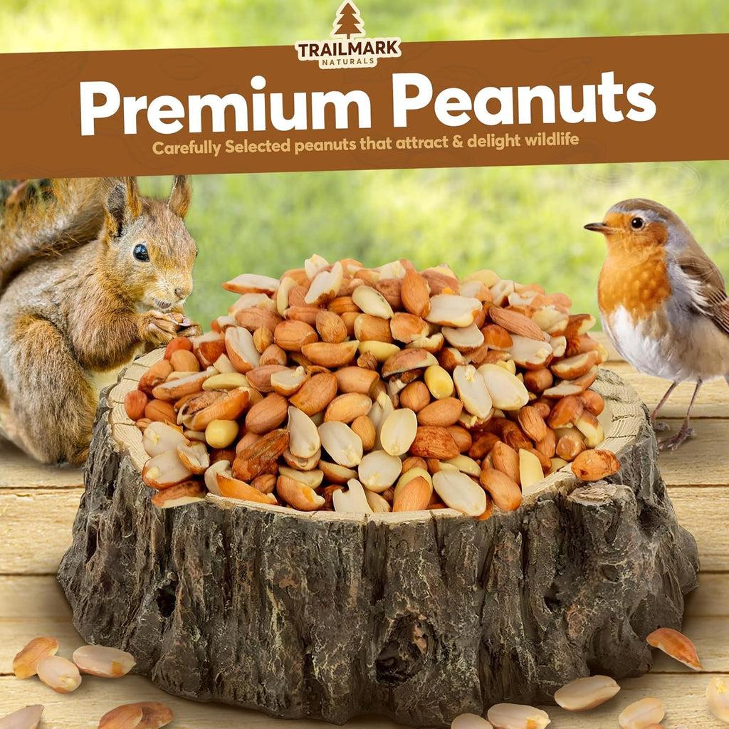 Raw Shelled Peanuts Y286231