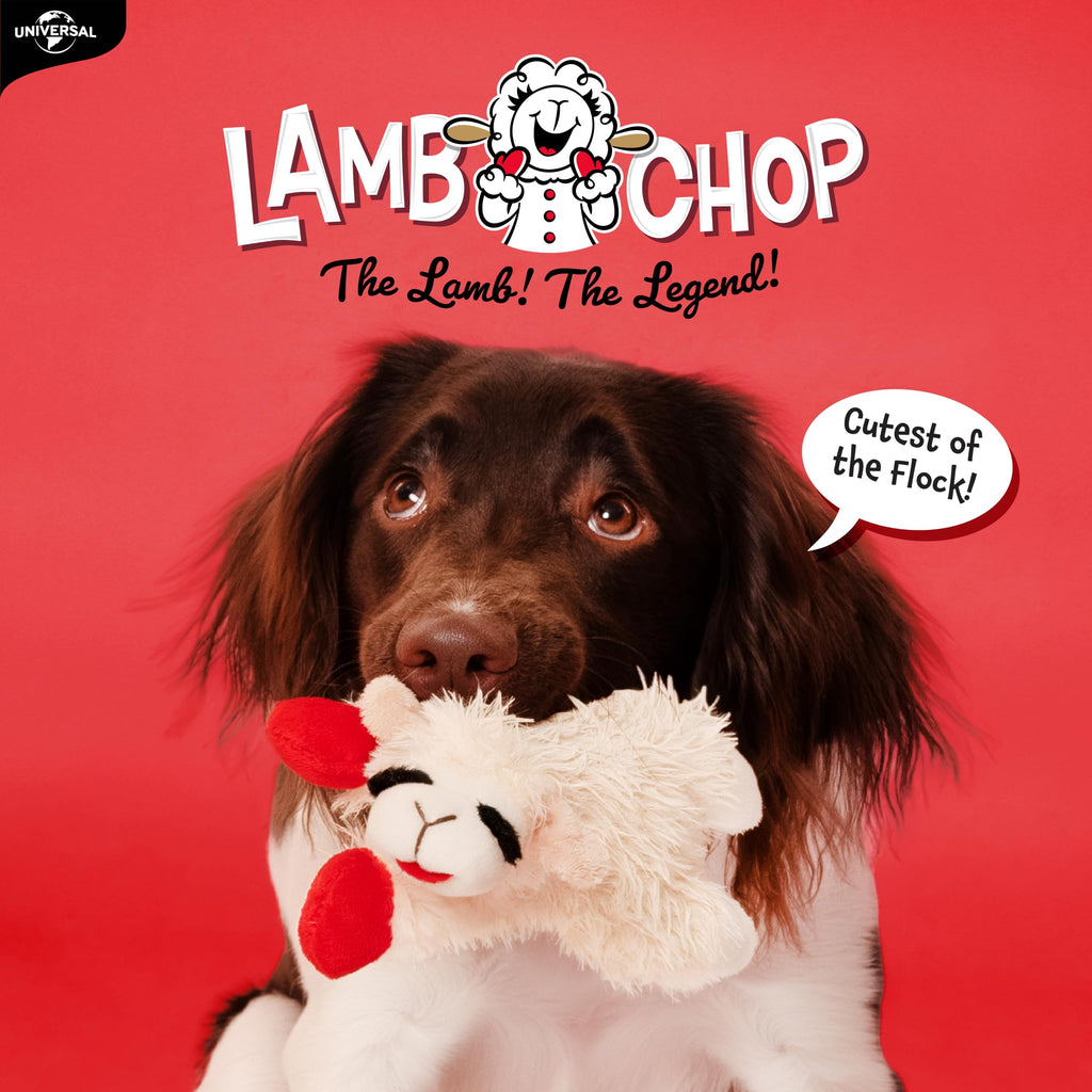 Dog Plush Squeaky Toy Y849348