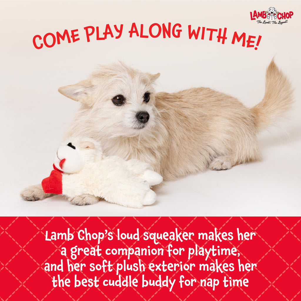 Dog Plush Squeaky Toy Y849348