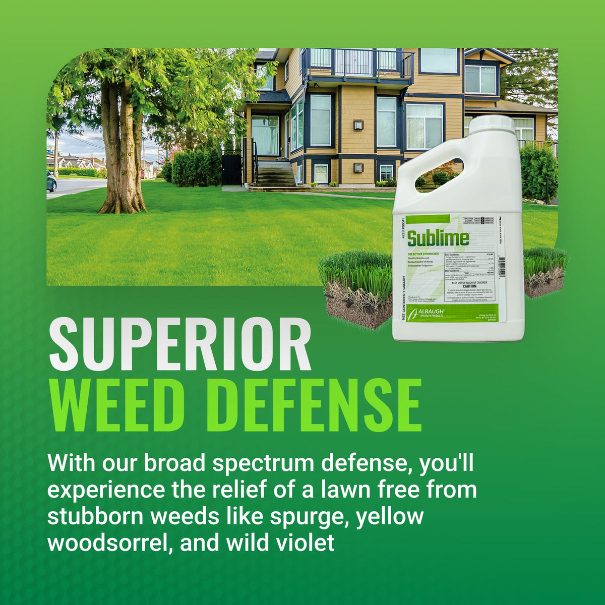 Weed Killer 1 Gallon P3702