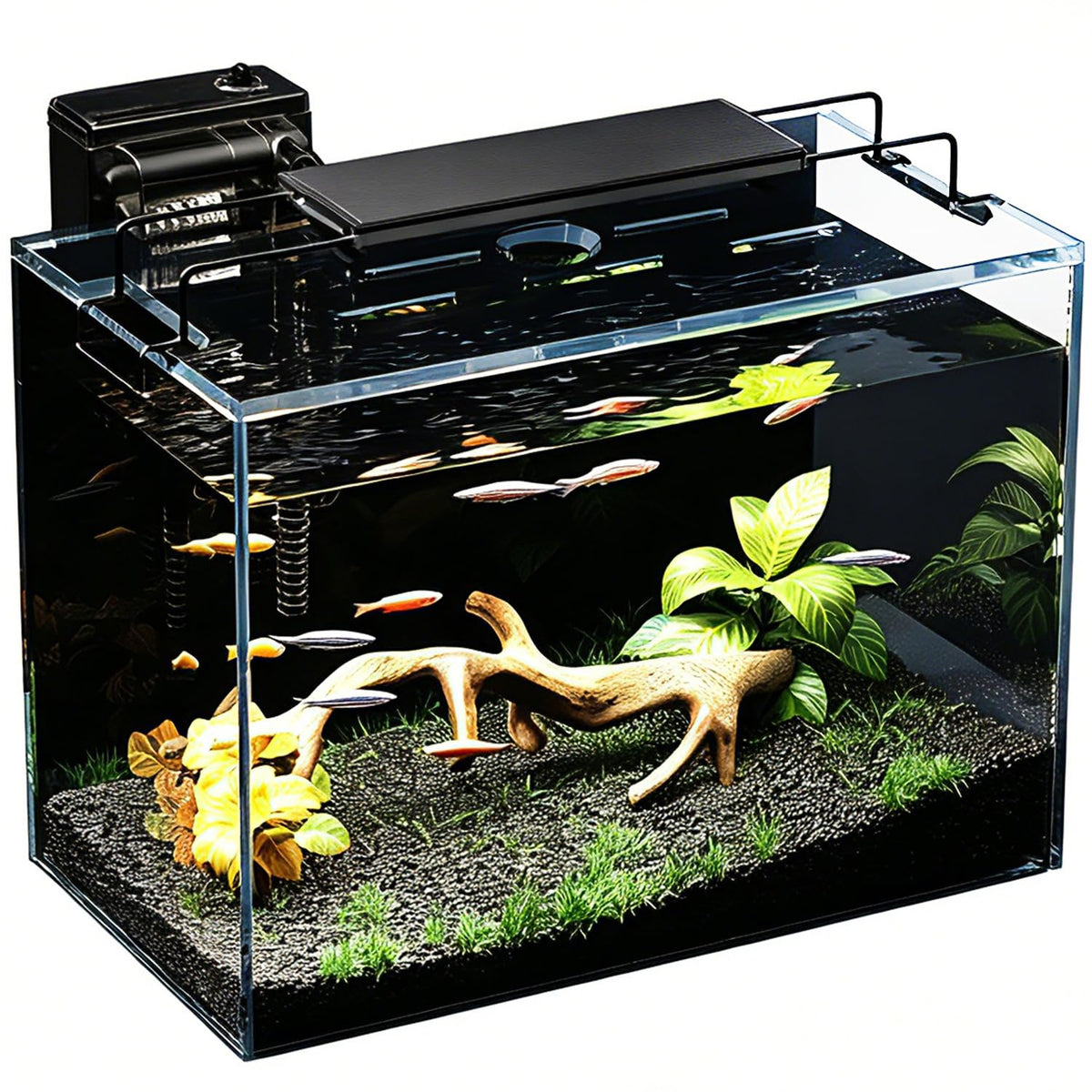 5 Gallon Glass Fish Tank Kit with Filter Light S357979